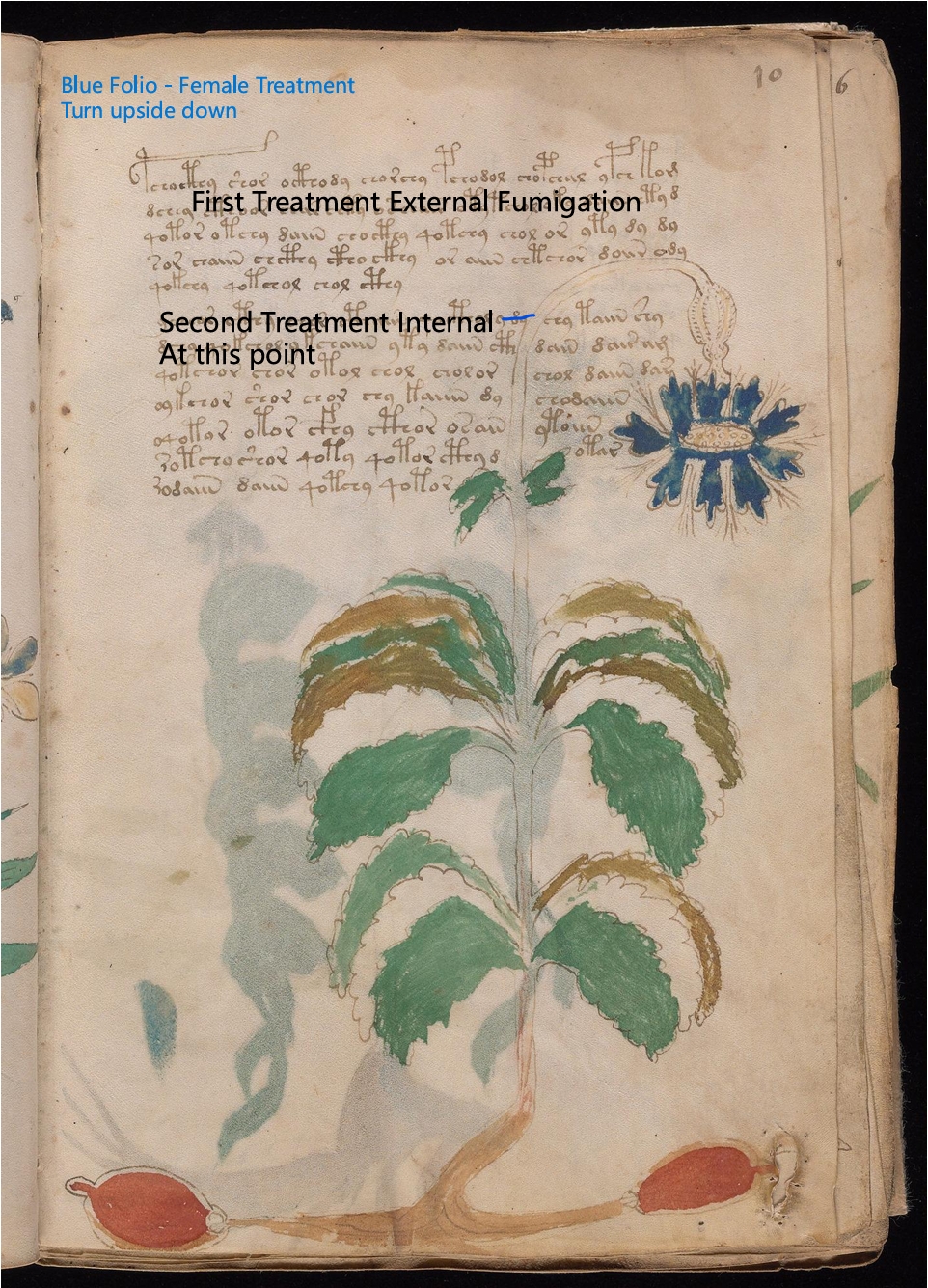 Secondary labelled diagram of Folio 10r